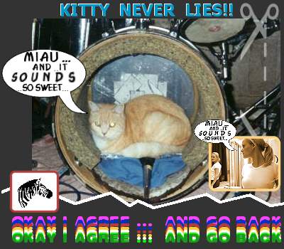 HEY MAN,  THAT&acute;S  KITTY !